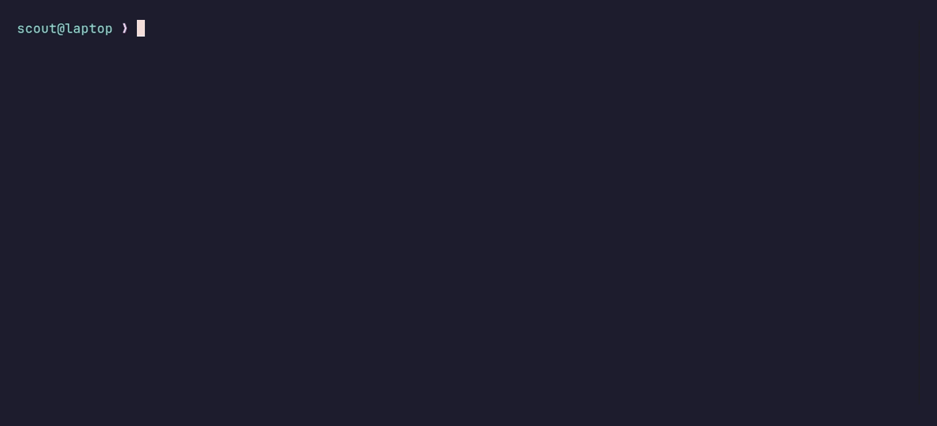 A fresh machine becomes a working environment with one curl | bash command